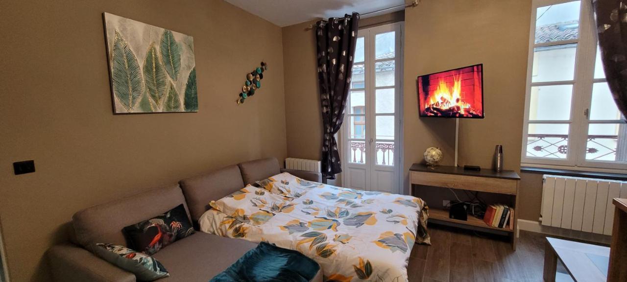 Appartement Le Moulin Vert Carcassone Kültér fotó