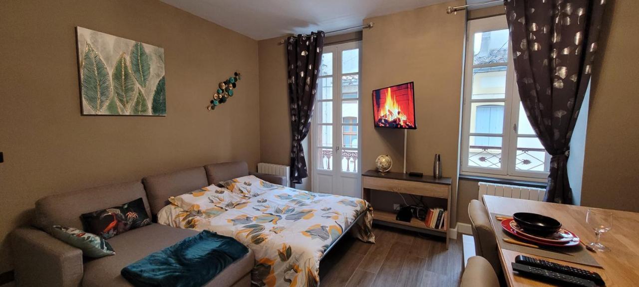 Appartement Le Moulin Vert Carcassone Kültér fotó